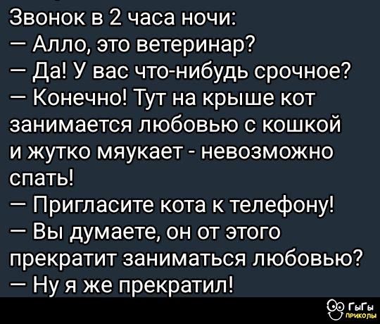 Звонок в 2 часа ночи:
— Алло, это ветеринар?
— Да! У вас что-нибудь срочное?
— Конечно! Тут на крыше кот занимается любовью с кошкой и жутко мяукает - невозможно спать!
— Пригласите кота к телефону!
— Вы думаете, он от этого прекратит заниматься любовью?
— Ну я же прекратил!
