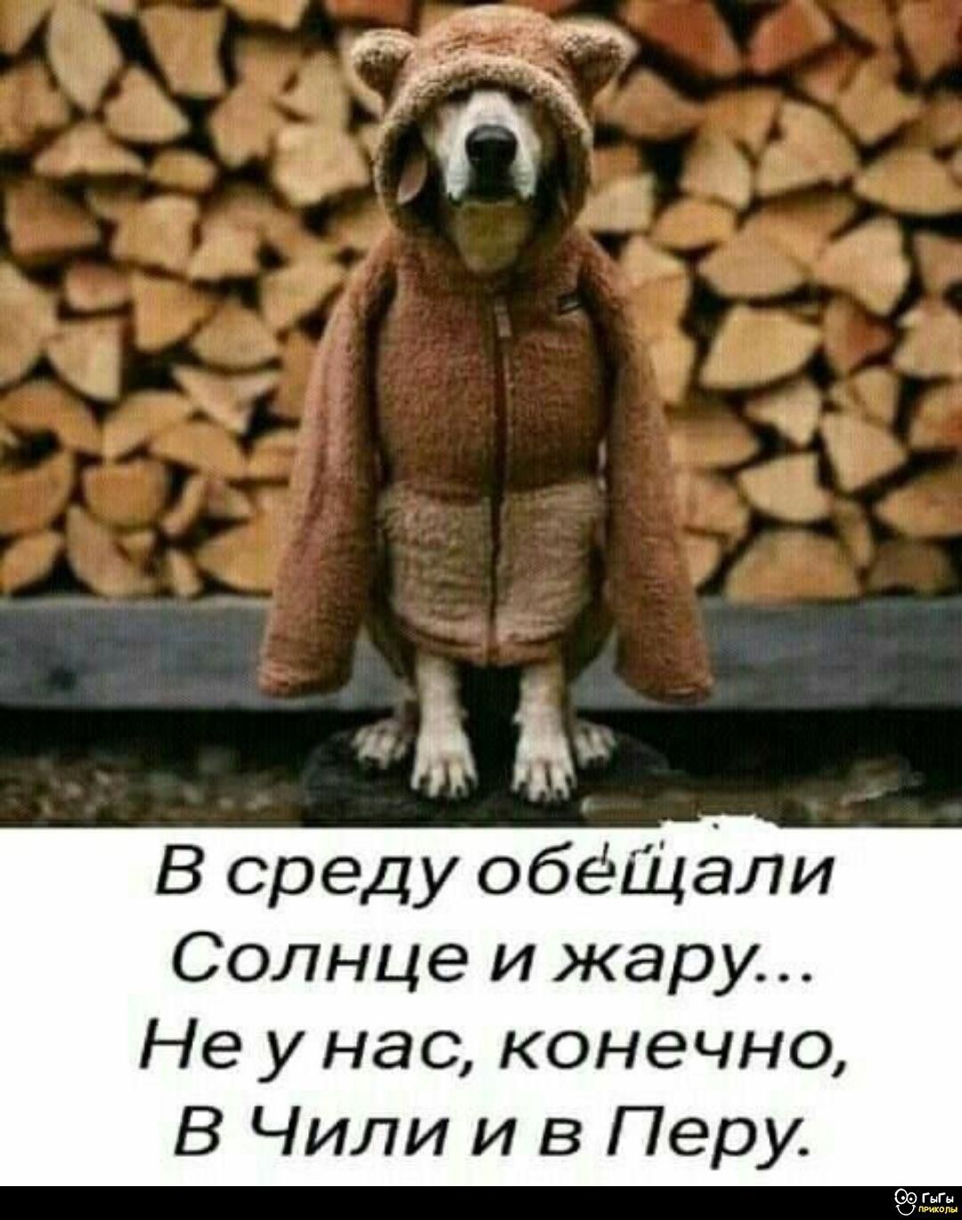 В среду обещали Солнце и жару... Не у нас, конечно, В Чили и в Перу.