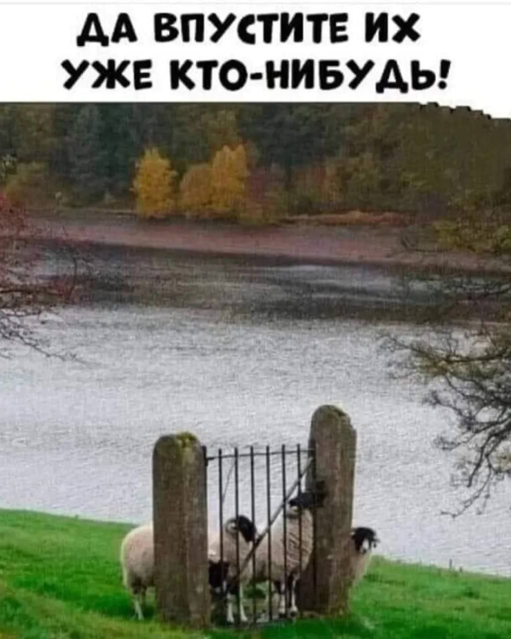 ДА ВПУСТИТЕ ИХ УЖЕ КТО-НИБУДЬ!