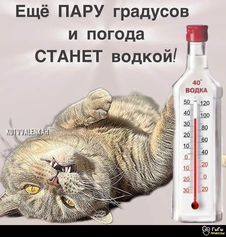 Ещё ПАРУ градусов и погода СТАНЕТ водкой!