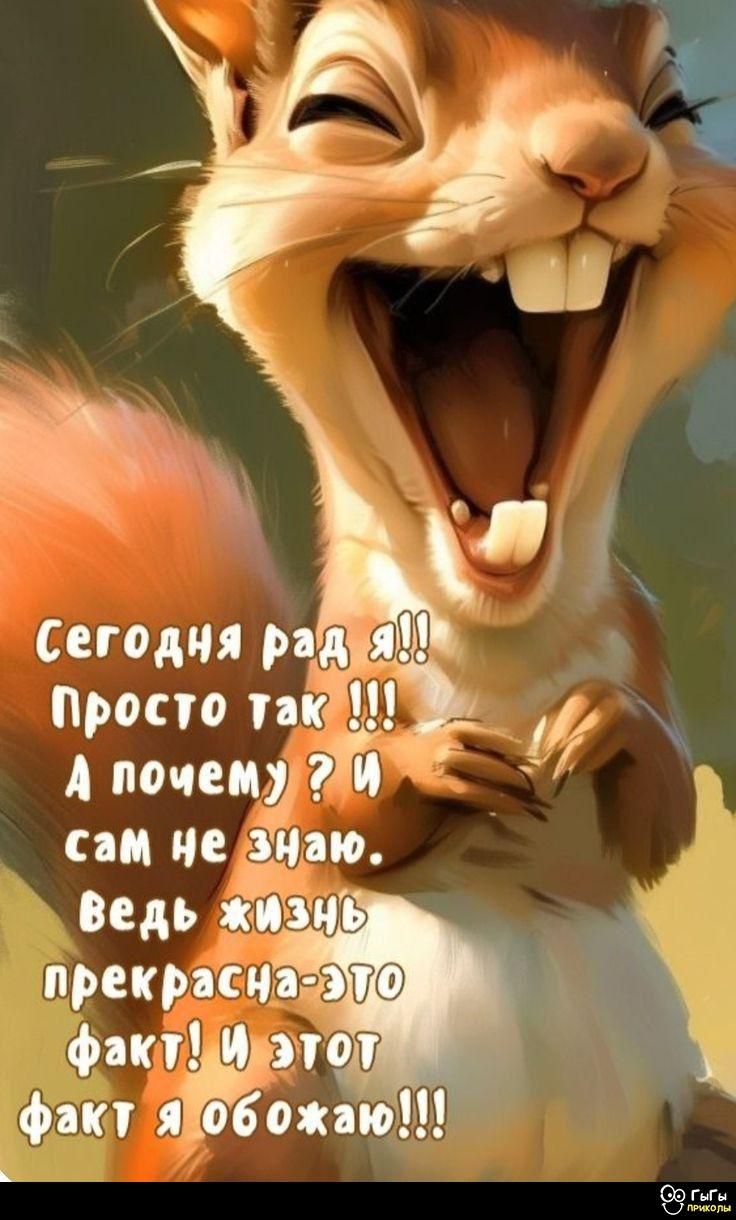 Сегодня рад я!! Просто так !!! А почему ? И сам не знаю. Ведь жизнь прекрасна - это факт! И этот факт я обожаю!!!