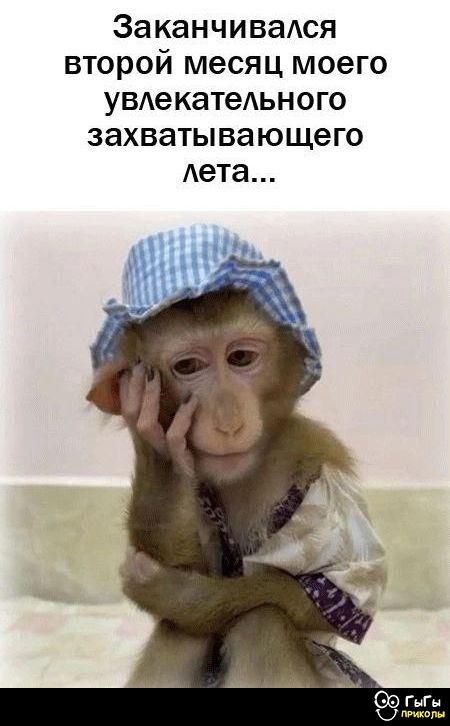 Заканчивался второй месяц моего увлекательного захватывающего лета...