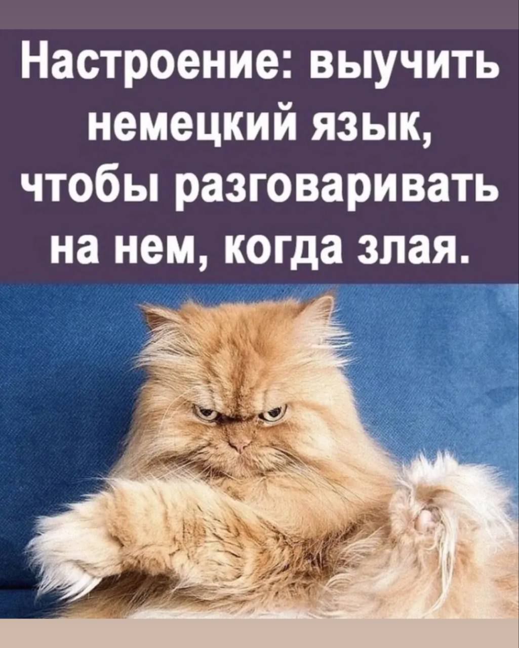 Настроение: выучить немецкий язык, чтобы разговаривать на нем, когда злая.