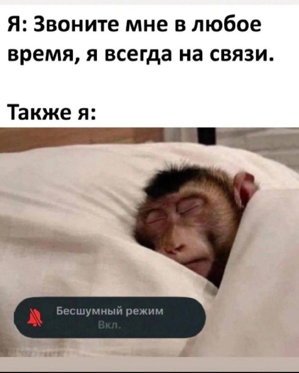 Я: Звоните мне в любое время, я всегда на связи.
Также я:
Бесшумный режим
Вкл.