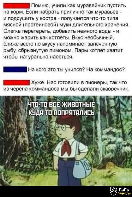 Помню, учили как муравейников пускать на корм. Если набрать прилично так муравьев - и подушить в костре - получается что-то типа мясной (протеиновой) муки длительного хранения. Слегка перетереть, добавить немного воды - и можно жарить как котлеты. Вкус невыразимый, ближе всего по вкусу напоминает запечённую рыбу, сбрызнутую лимоном. Пары котлет хватит чтобы натурально наестся.

На кого это ты учился? На командос?

Хуже. Нас готовили в пионеры, так что из черепа командоса мы бы сделали скворечник.

Что-то все животные куда-то попрятались.