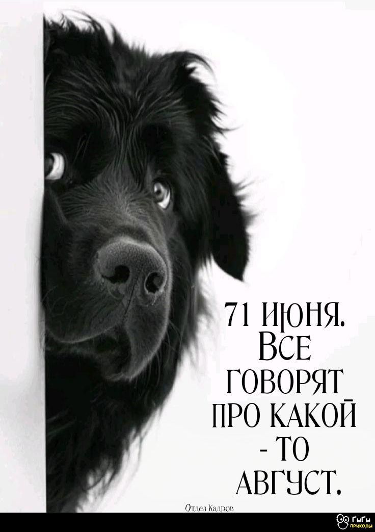 71 июня. Все говорят про какой-то август.