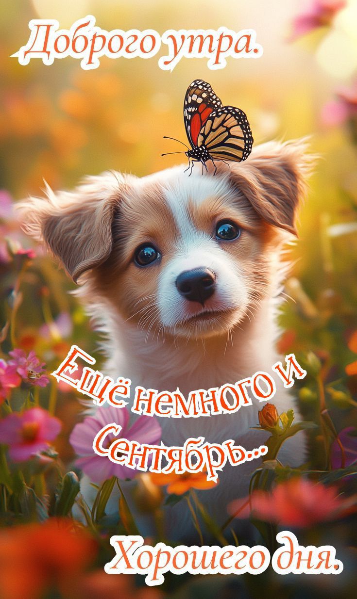 Доброе утро. Ещё немного и Сентябрь... Хорошего дня.