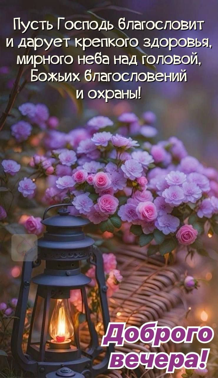 Пусть Господь благословит и дарует крепкого здоровья, мирного неба над головой, Божьих благословений и охраны! Доброе вечера!