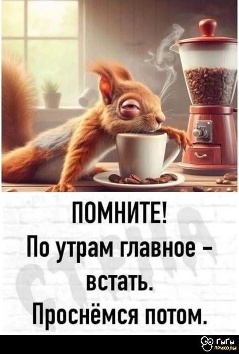 ПОМНИТЕ! По утрам главное - встать. Проснёмся потом.