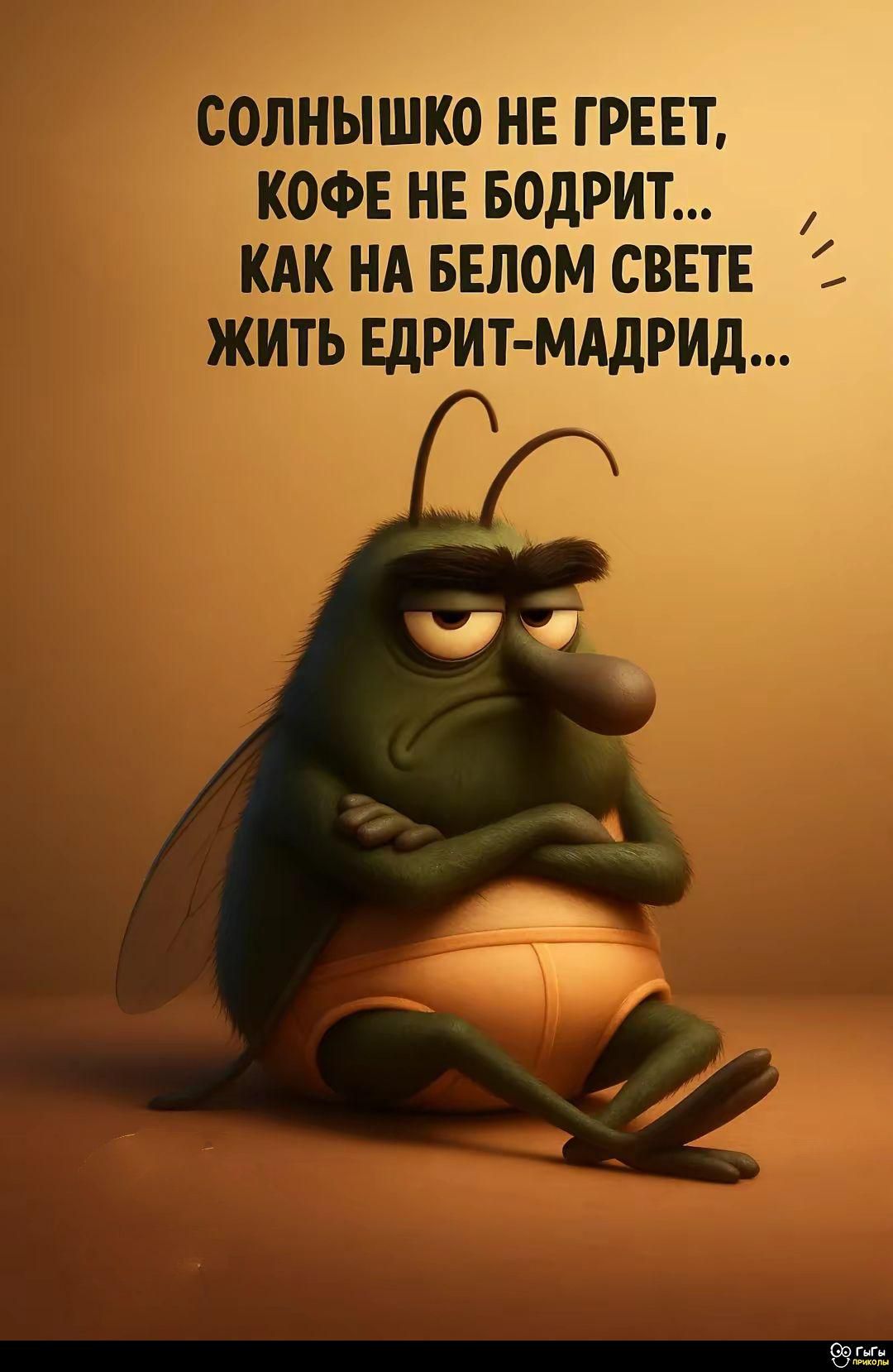 СОЛНЫШКО НЕ ГРЕТ, КОФЕ НЕ БОДРИТ... КАК НА БЕЛОМ СВЕТЕ ЖИТЬ ЕДРИТ-МАДРИД...