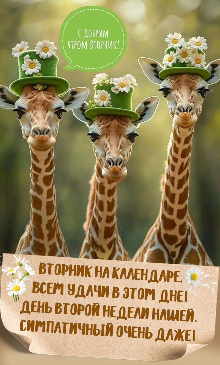 С ДОБРЫМ УТРОМ ВТОРНИК!
ВТОРНИК НА КАЛЕНДАРЕ. ВСЕМ УДАЧИ В ЭТОМ ДНЕ! ДЕНЬ ВТОРОЙ НЕДЕЛИ НАШЕЙ. СИМПАТИЧНЫЙ ОЧЕНЬ ДАЖЕ!