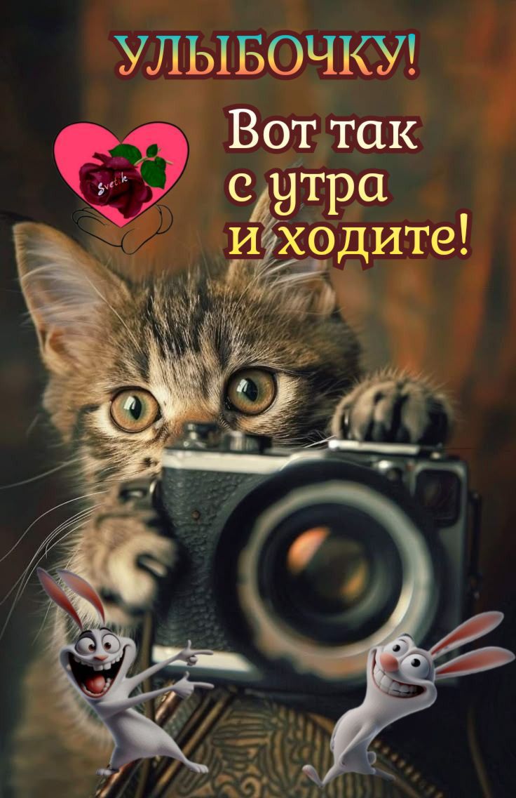 УЛЫБОЧКУ! Вот так с утра и ходите!