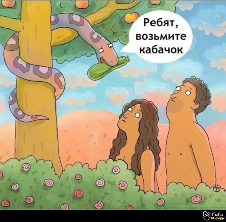 Ребят, возьмите кабачок