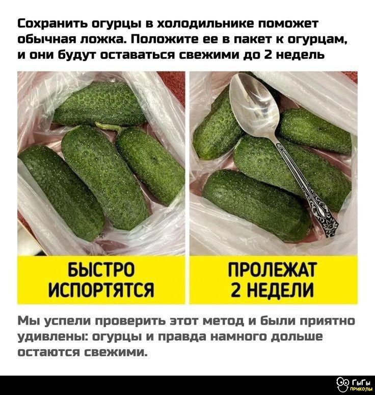 Сохранить огурцы в холодильнике поможет обычная ложка. Положите ее в пакет к огурцам, и они будут оставаться свежими до 2 недель.

БЫСТРО ИСПОРТИПСЯ
ПРОЛЕЖАТ 2 НЕДЕЛИ

Мы успели проверить этот метод и были приятно удивлены: огурцы и правда намного дольше останутся свежими.