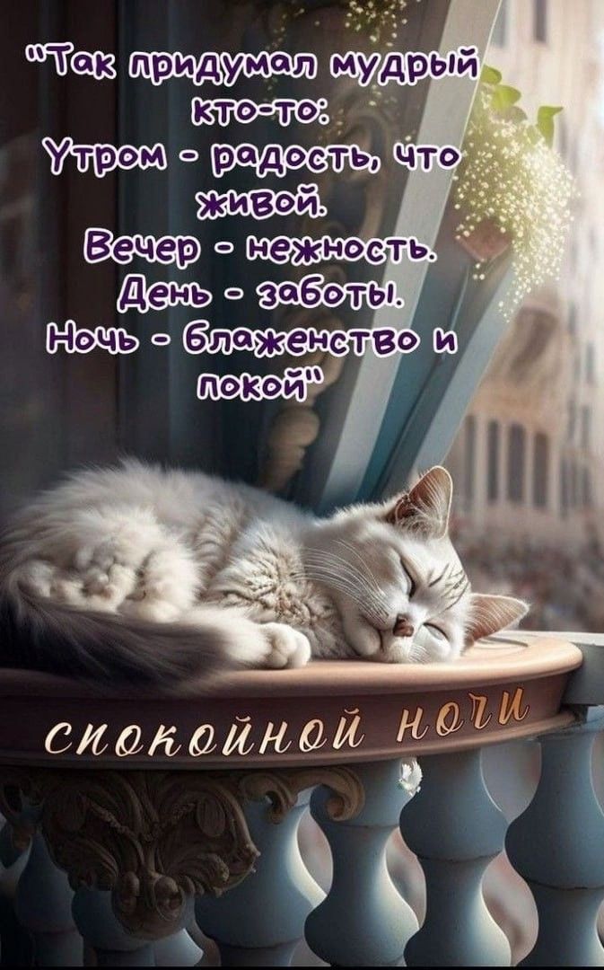 Так придумал мудрый кто-то: Утром - радость, что живой. Вечер - нежность. День - заботы. Ночь - блаженство и покой