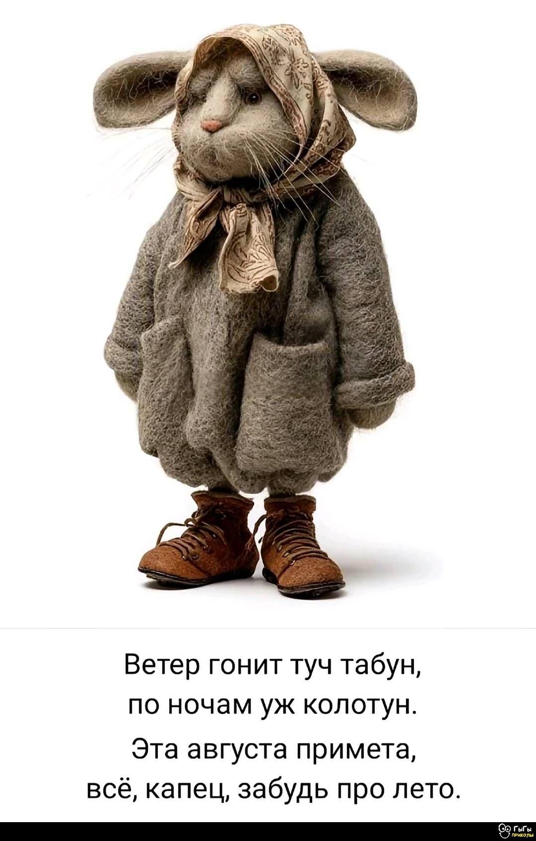 Ветер гонит туч табун,
по ночам уж колотун.
Эта августа примета,
всё, капец, забудь про лето.