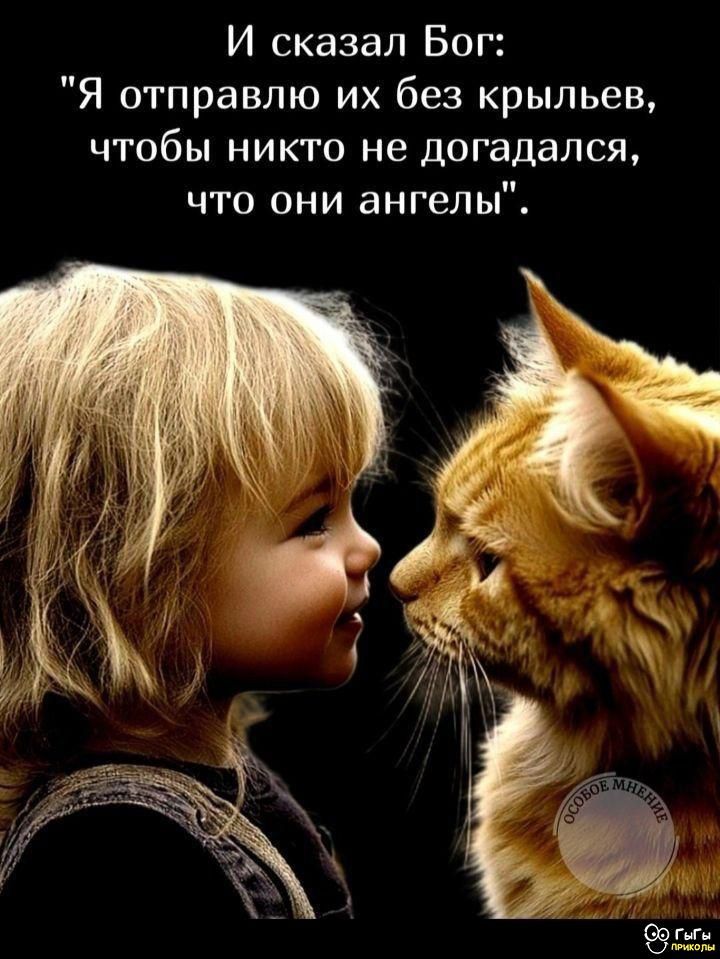 И сказал Бог: 
