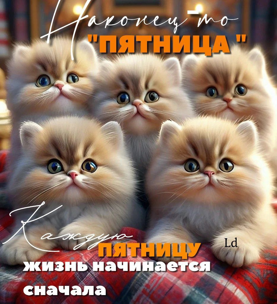 Наконец-то 