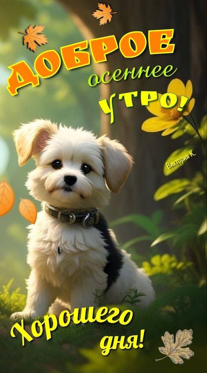 ДОБРОЕ осеннее УТРО! Хорошего дня!