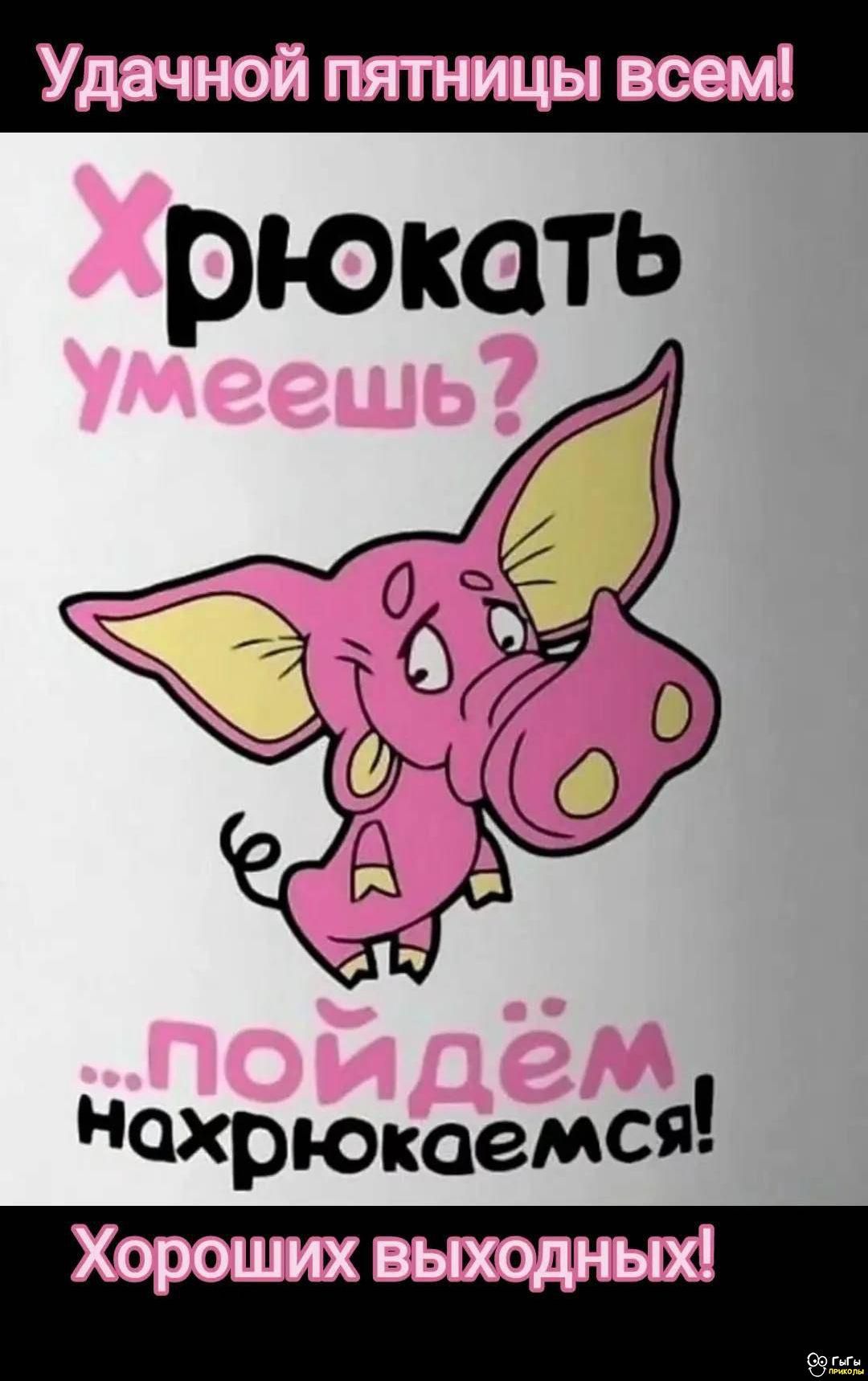 Удачной пятницы всем! Хрюкать умеешь? ...пойдём нахрюкаемся! Хороших выходных!