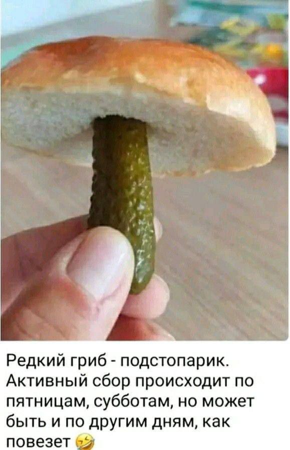 Красный гриб - подстопарик. Активный сбор происходит по пятницам, субботам, но может быть и по другим дням, как повезет 😂
