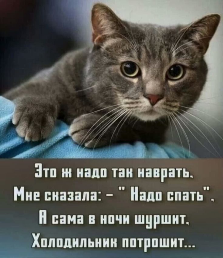 Это ж надо так наврать, Мне сказала: – 