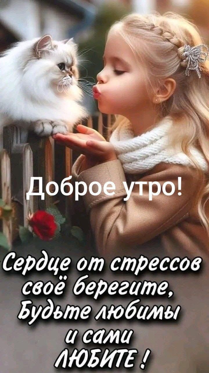 Доброе утро!
Сердце от стрессов своё берегите, Будьте любимы и сами ЛЮБИТЕ !