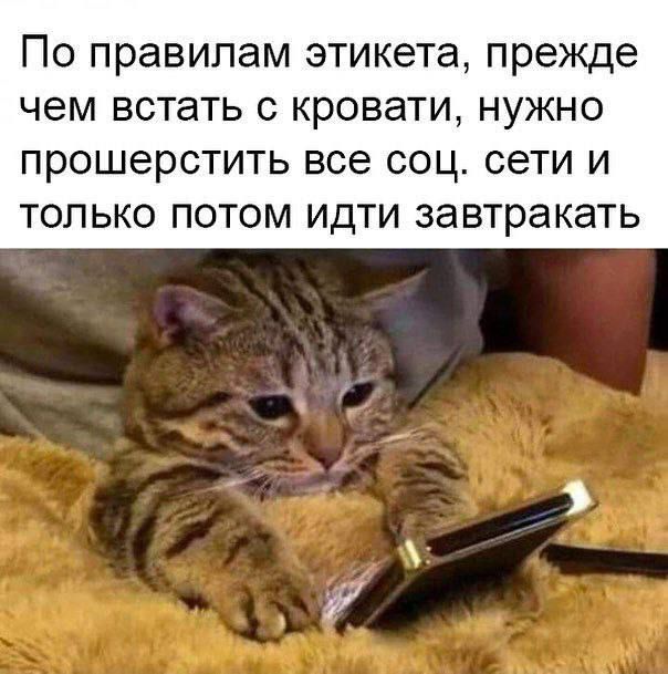 По правилам этикета, прежде чем встать с кровати, нужно прошерстить все соц. сети и только потом идти завтракать.