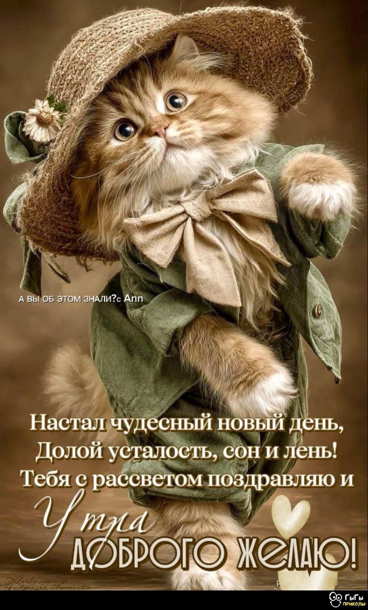 Настал чудесный новый день, Долой усталость, сон и лень! Тебя с рассветом поздравляю и Утром Доброго желаю!