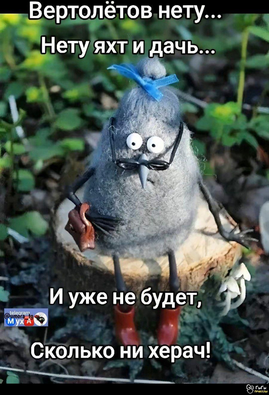 Вертолётов нету... Нету яхт и дач... И уже не будет, Сколько ни херач!