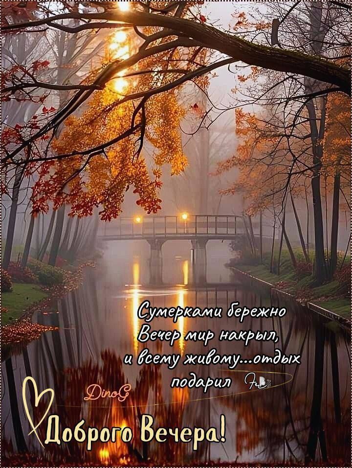 Сумерками бережно
Вечер мир накрыл,
и всему живому...отдых
подарил
Доброе Вечера!