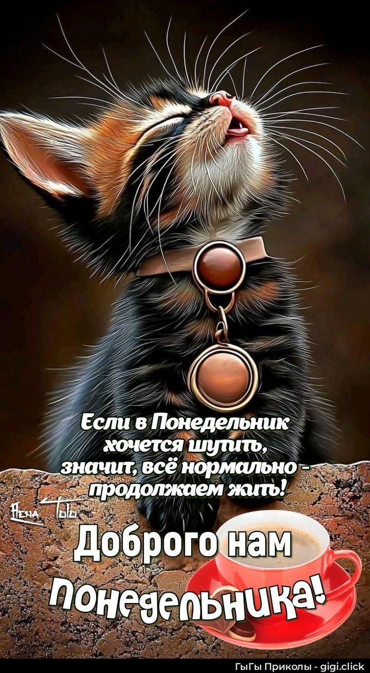 Если в Понедельник хочется шутить, значит, всё нормально - продолжаем жить! Доброего нам понедельничка!