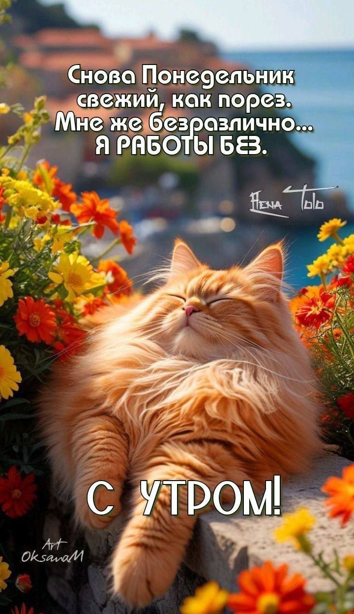 Снова Понедельник свежий, как порез. Мне же безразлично... Я РАБОТЫ БЕЗ. С УТРОМ!