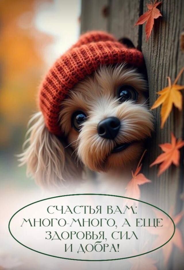 Счастья вам: много-много, а еще здоровье, сил и добра!