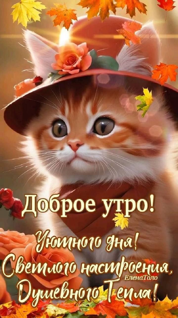 Доброе утро! Уютного дня! Светлого настроения, Душевного тепла!