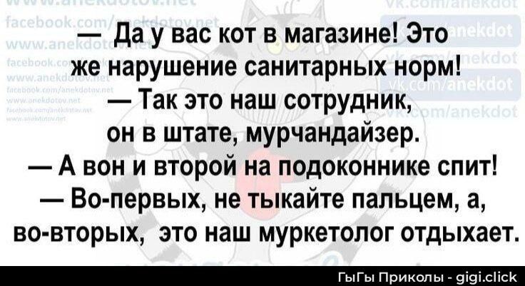 Да у вас кот в магазине! Это же нарушение санитарных норм! — Так это наш сотрудник, он в штате, мурчандайзер. — А он и второй на подоконнике спит! — Во-первых, не тыкайте пальцем, а, во-вторых, это наш муркетолог отдыхает.