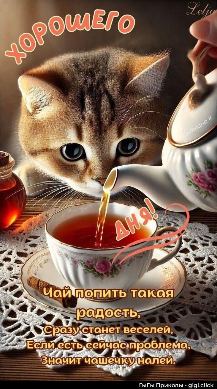 ХОРОШЕГО ДНЯ! Чай попить такая радость, Сразу станет веселее. Если есть сейчас проблема, Значит чашечку налей.