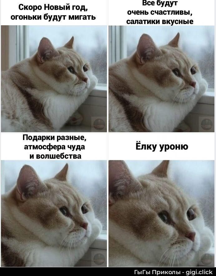 Скоро Новый год, огоньки будут мигать
Все будут очень счастливы, салатки вкусные
Подарки разные, атмосфера чуда и волшебства
Ёлку урону