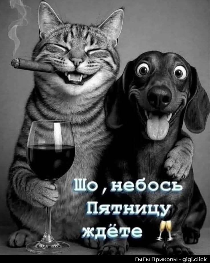 Шо, небось Пятницу ждёте