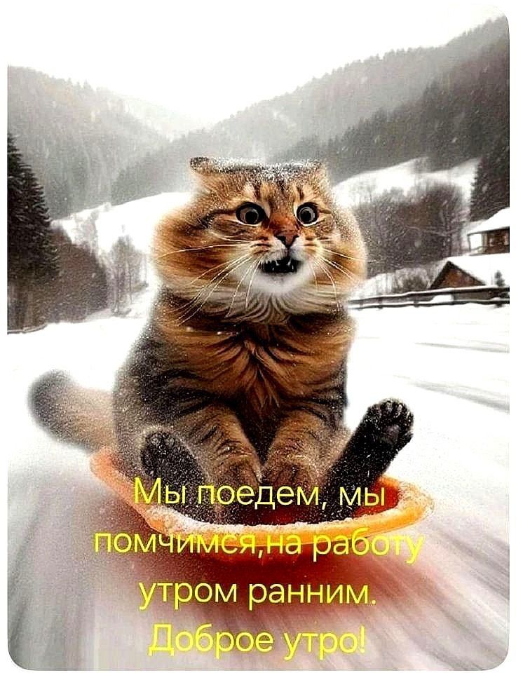 Мы поедем, мы помчимся, на работу утром ранним. Доброе утро!