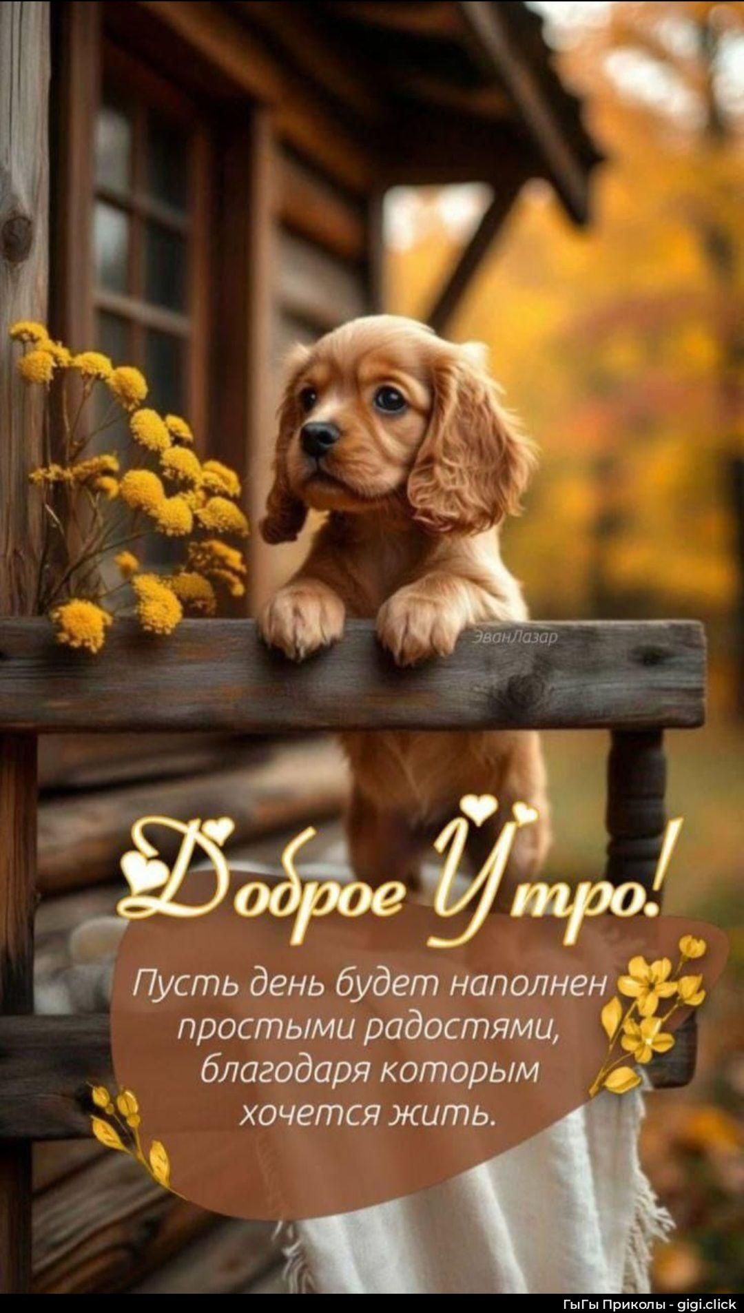 Доброе утро! Пусть день будет наполнен простыми радостями, благодаря которым хочется жить.