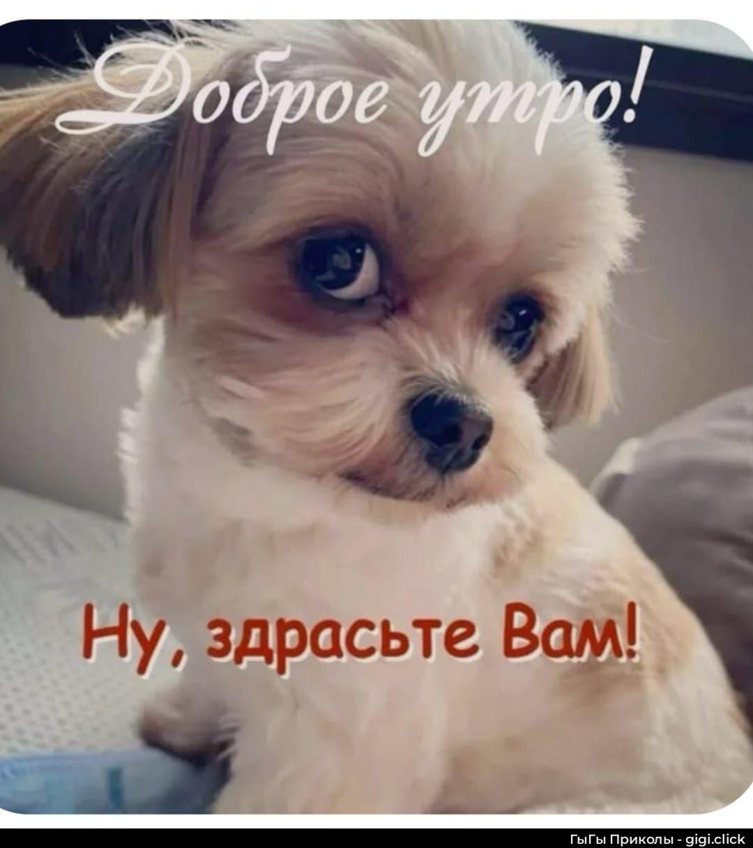 Доброе утро!
Ну, здрасте Вам!