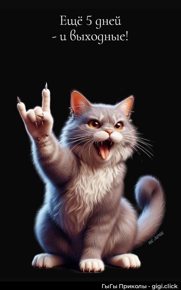 Ещё 5 дней - и выходные!