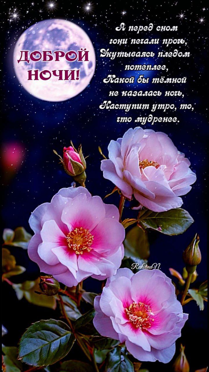 Доброй ночи!
Я перед сном ... наступит утро, то, что мудренее.