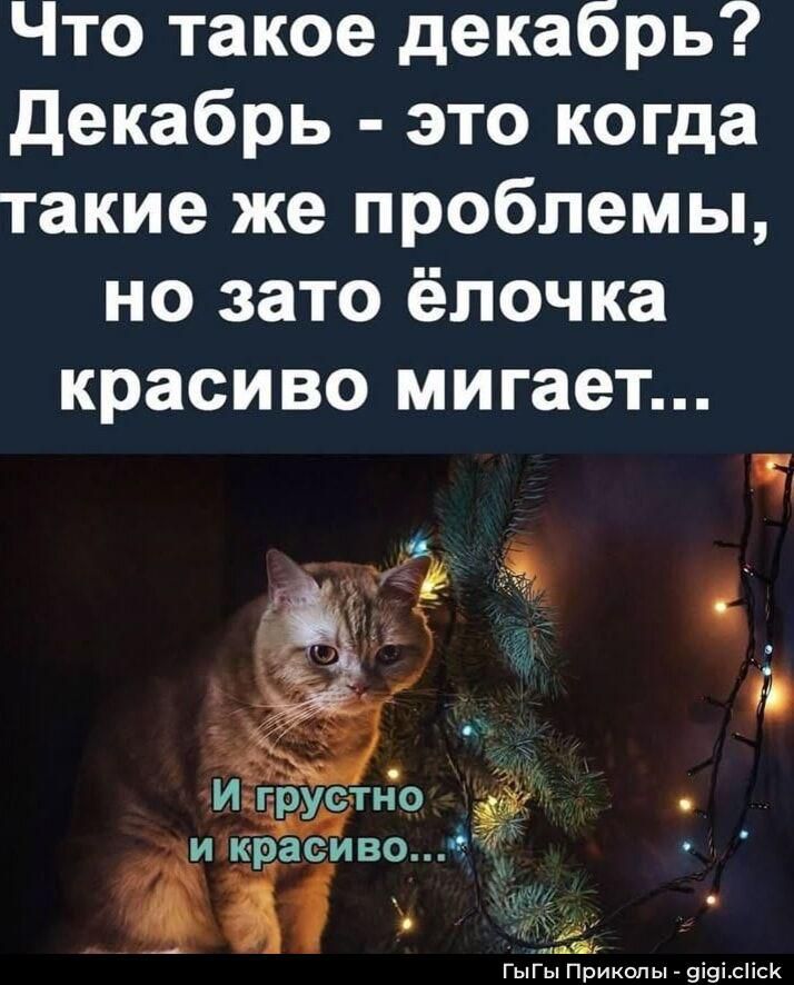 Что такое декабрь? Декабрь - это когда такие же проблемы, но зато ёлочка красиво мигает... И грустно и красиво...