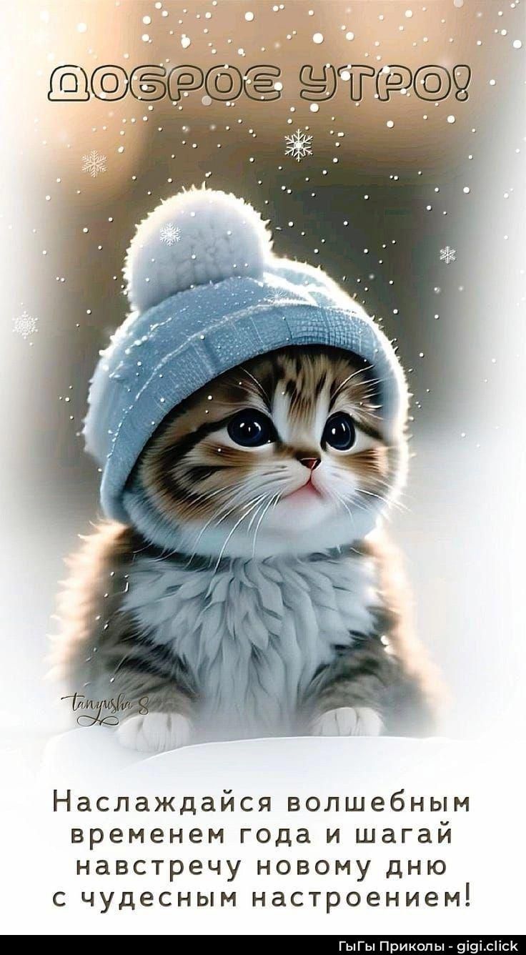 Доброе утро! Наслаждайся волшебным временем года и шагай навстречу новому дню с чудесным настроением!