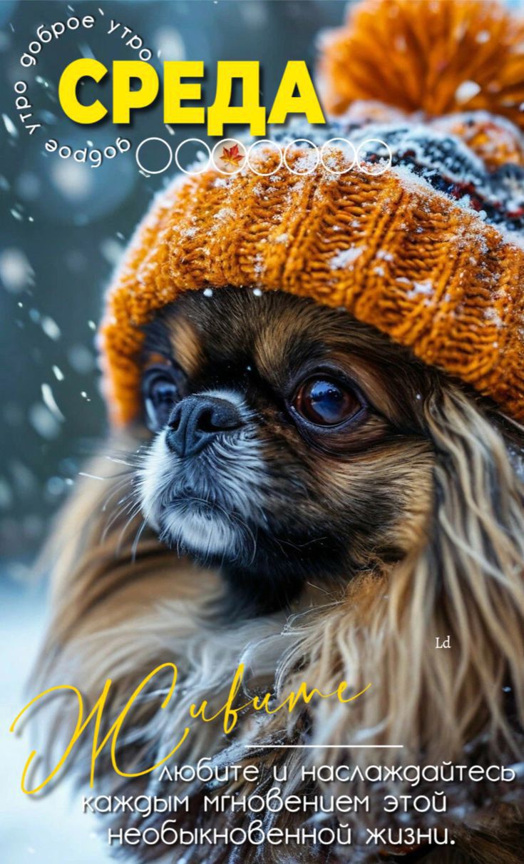 СРЕДА доброе утро ... Любите и наслаждайтесь каждым мгновением этой необыкновенной жизни.