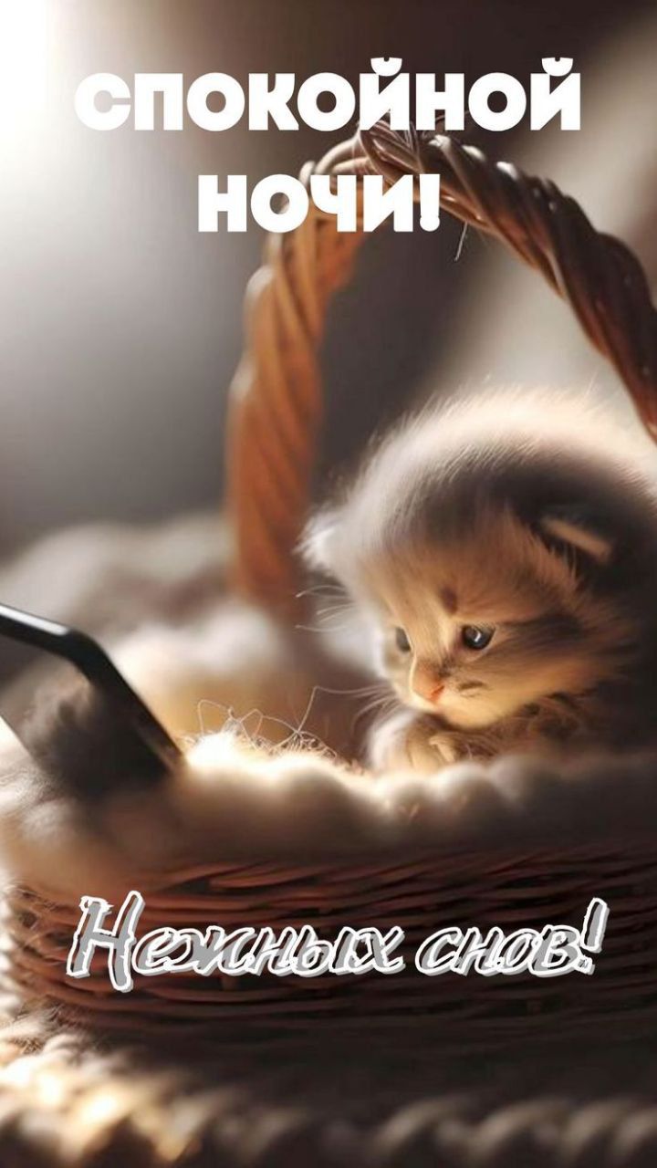 СПОКОЙНОЙ НОЧИ!
Нежных снов!