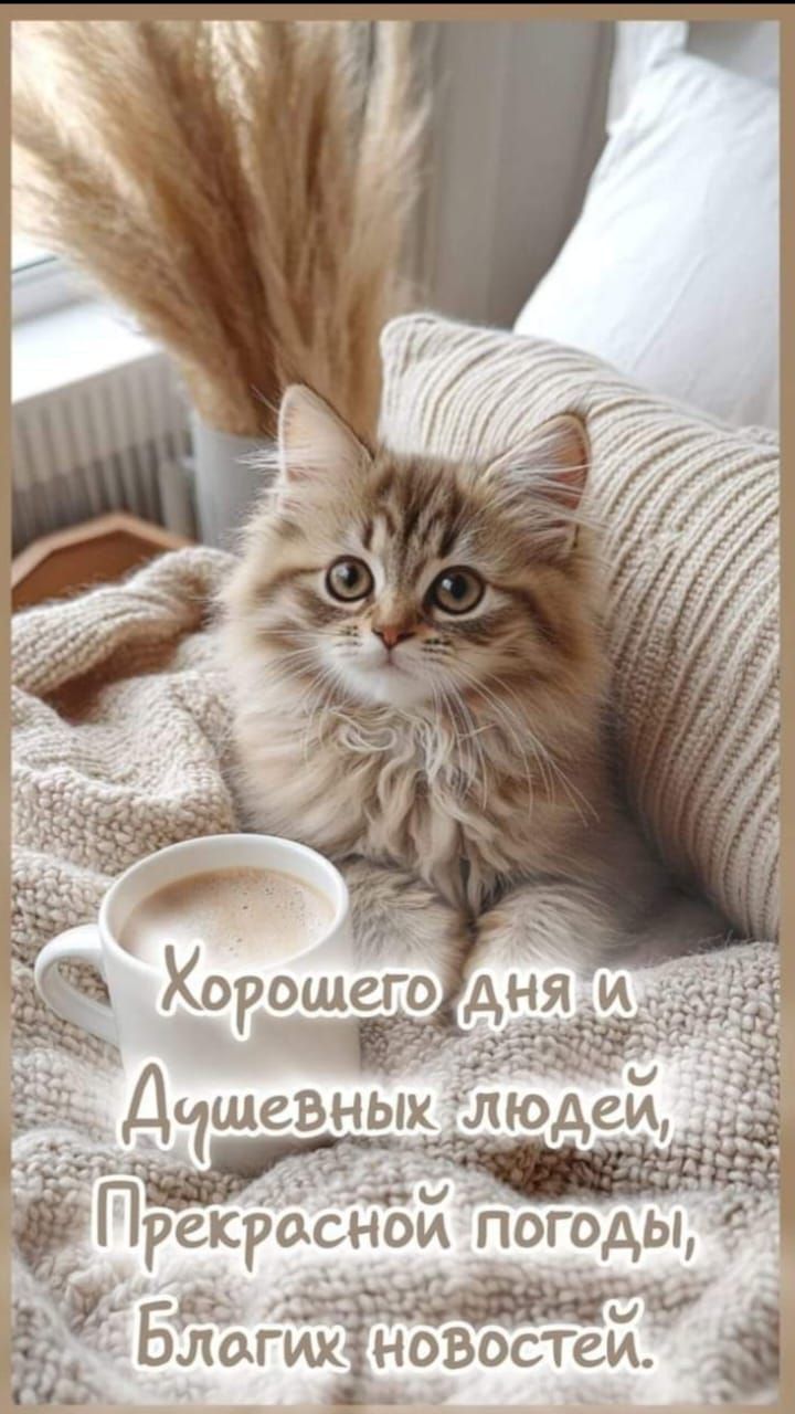 Хорошего дня и Душевных людей, Прекрасной погоды, Благих новостей.