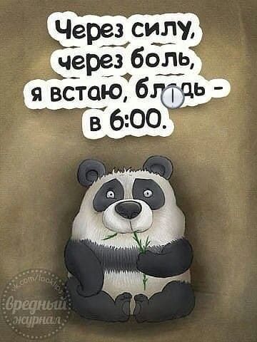 Через силу, через боль, я встану, блядь, в 6:00.